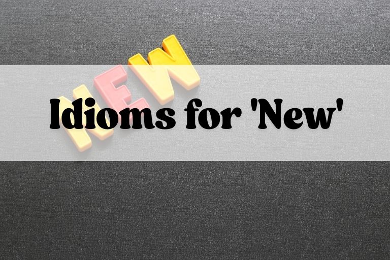 Idioms for 'New'