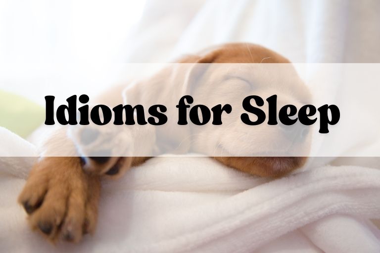 Idioms for Sleep