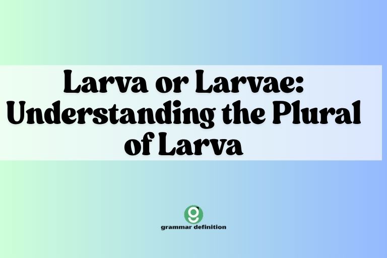 Larva or Larvae Understanding the Plural of Larva