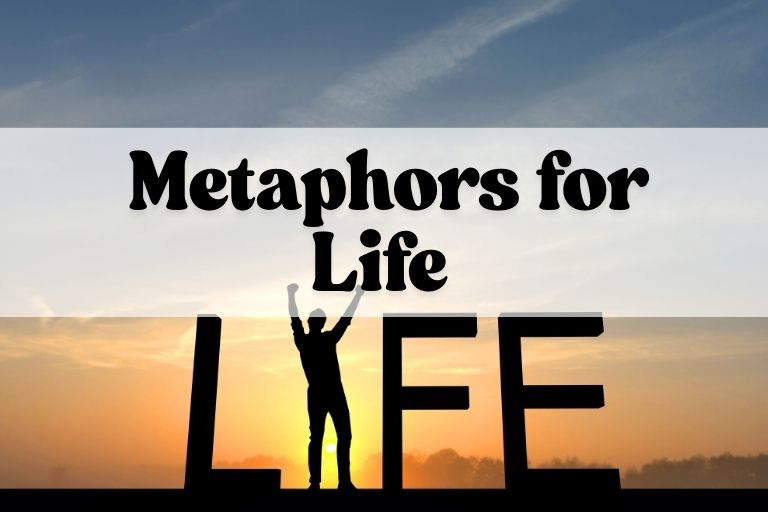 Metaphors for Life