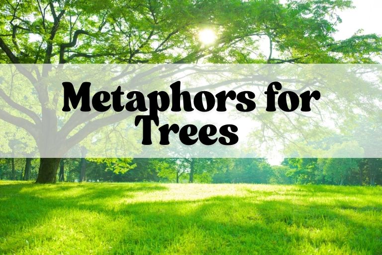 Metaphors for Trees