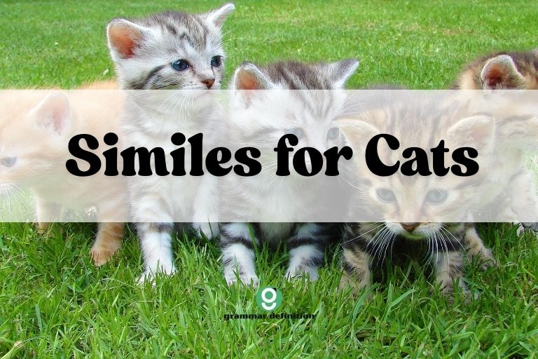 Similes for Cats