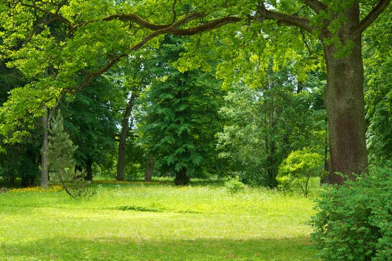 Similes for Nature