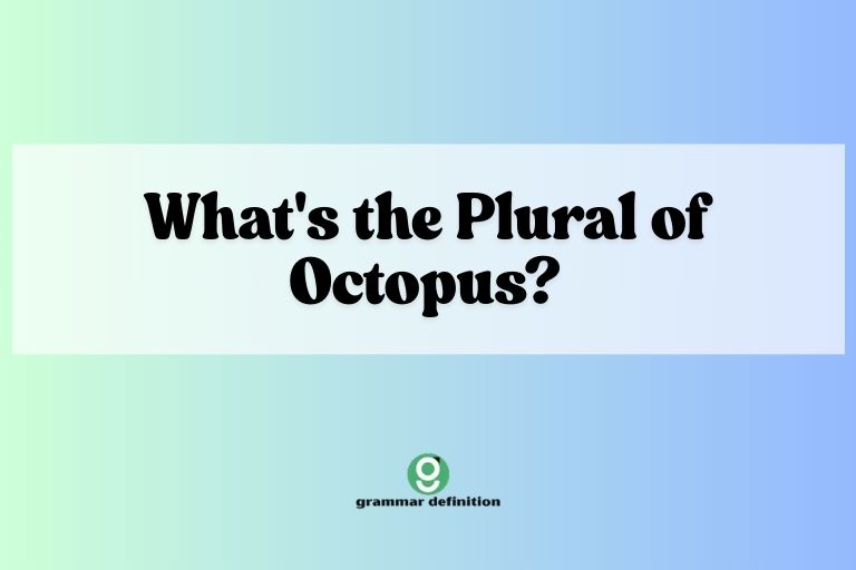 What's the Plural of Octopus?