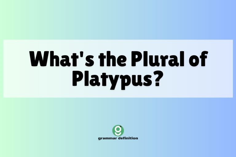 What's the Plural of Platypus