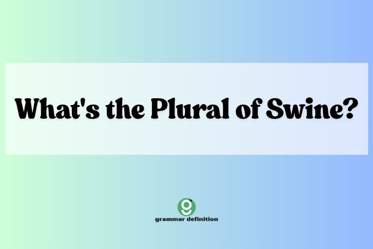 What's the Plural of Swine?