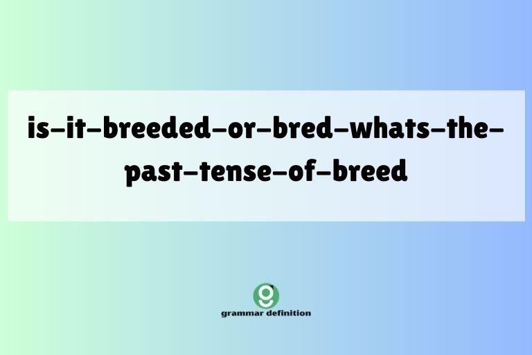 is-it-breeded-or-bred-whats-the-past-tense-of-breed