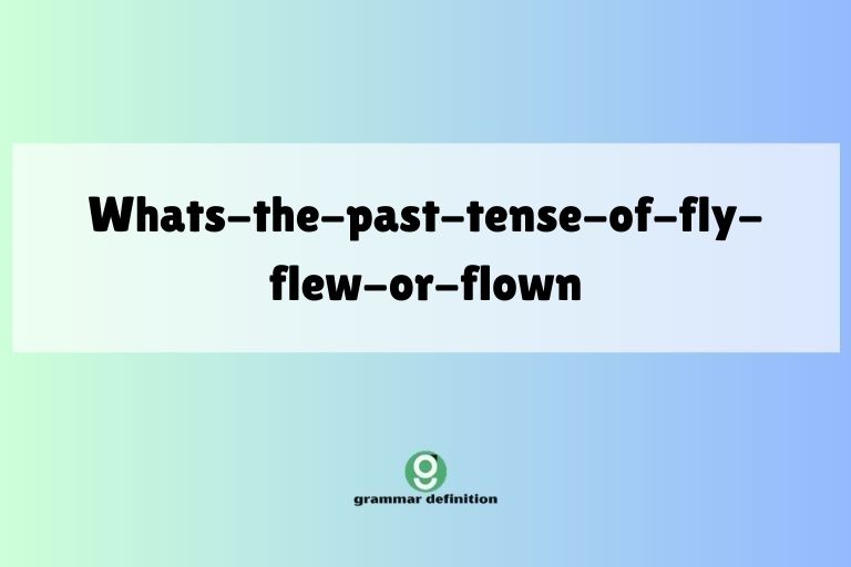 whats-the-past-tense-of-fly-flew-or-flown