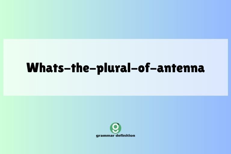 whats-the-plural-of-antenna