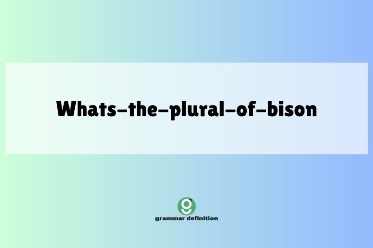 whats-the-plural-of-bison