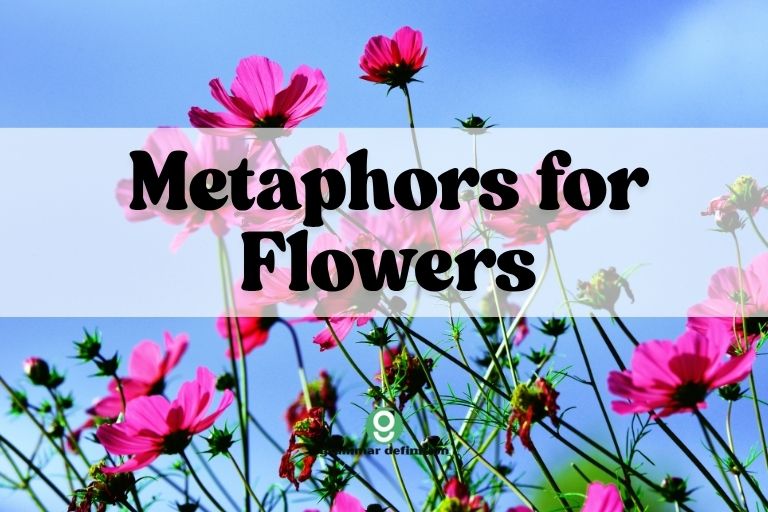 Metaphors for Flowers