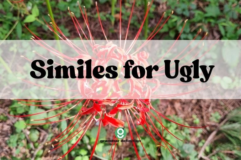 Similes for Ugly
