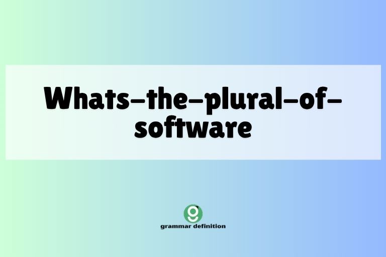 whats-the-plural-of-software