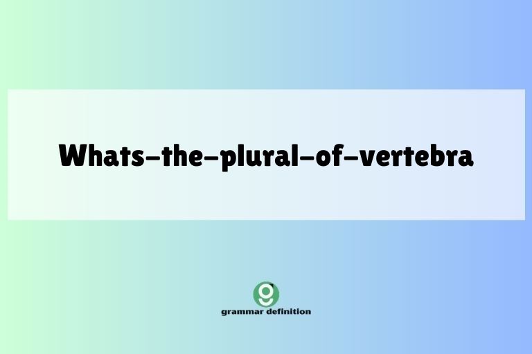 whats-the-plural-of-vertebra